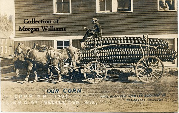 corn