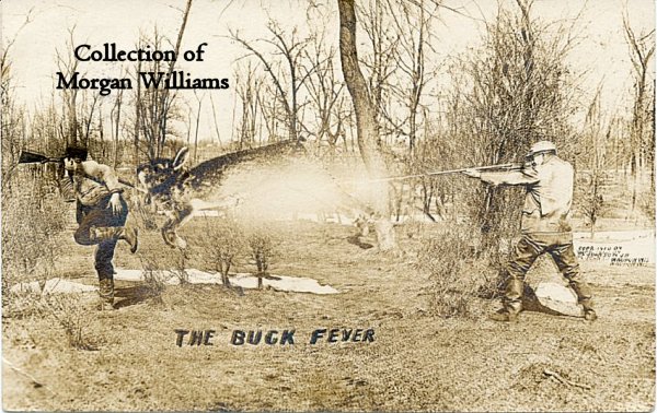 buck