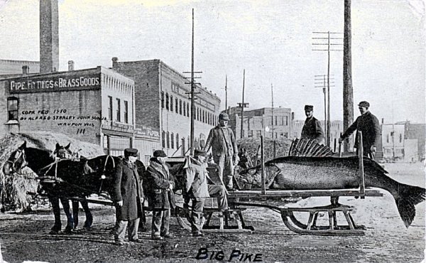 pike