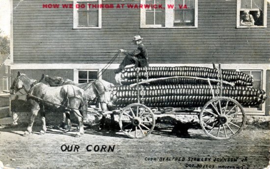 corn