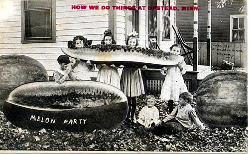 melon party