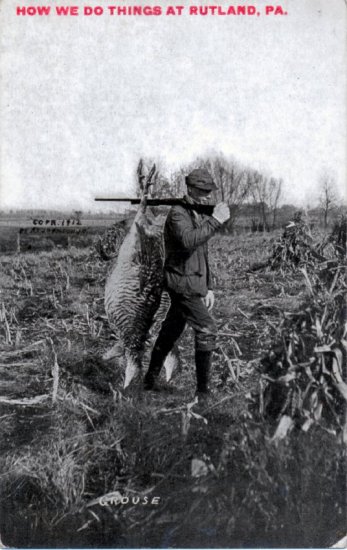 grouse