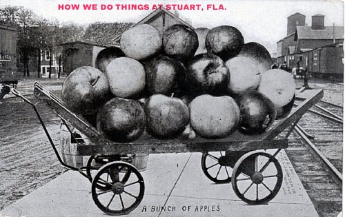bunch apples