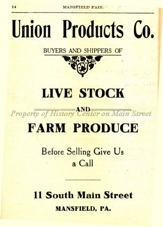 Advertisement